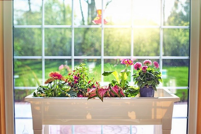 flower box