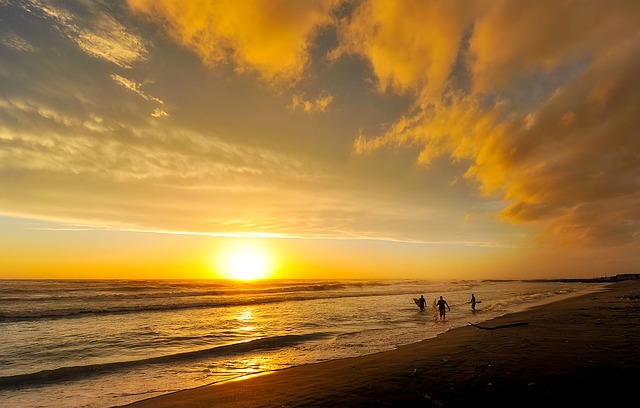 Beach in summer