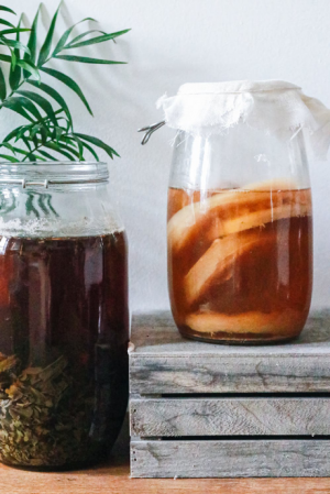 kombucha drink