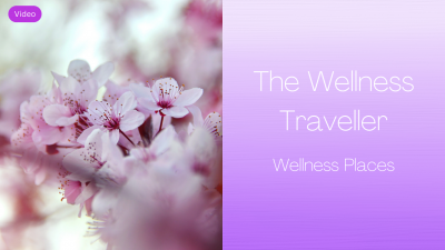 The Wellness Traveller - Wellness Places