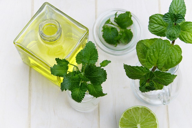 IBS & Travel: mint leaves and oil