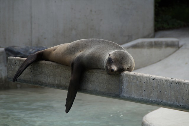The benefits of napping