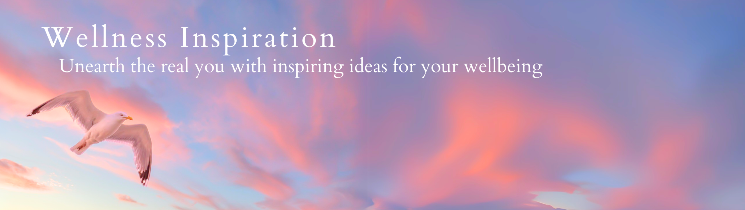 The Wellness Traveller Magazine 7